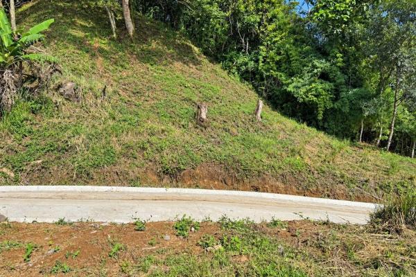 Terreno de 6.694 m² en venta en palmira boquete