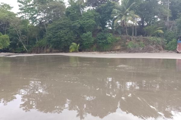 Land 172 acres in puerto armuelles, limones io