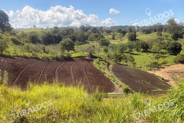 Venta de finca agroindustrial en volcan