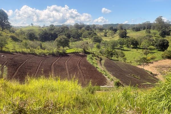 Venta de finca agroindustrial en volcan