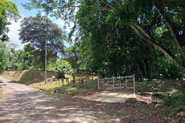 3+ ha in capira