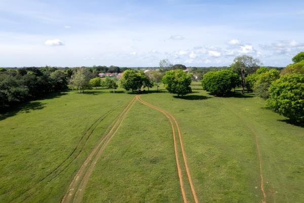 Four hectare property for urbanization in david
