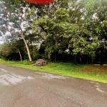 Land for sale of 5000 m2 on the beach of sant