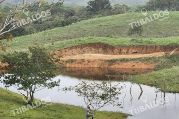 Se vende finca ganadera en margarita de chepo