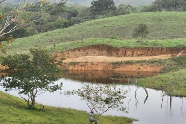 Venta de finca margarita chepo 200 has