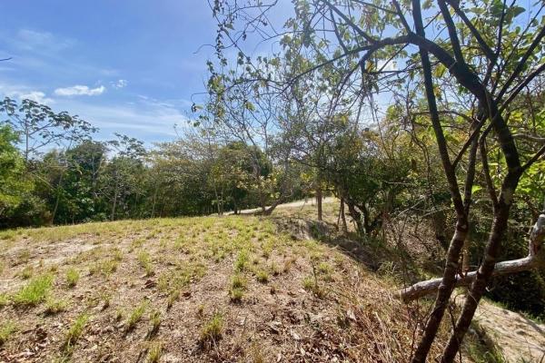 Finca de 4.3 hectareas – proyecto ideal comunidad