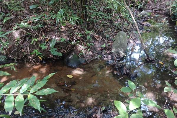 Sale of land 116 acres in san miguel, pacora river