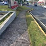 Se alquila super o distribuidora