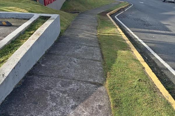 Se alquila super o distribuidora