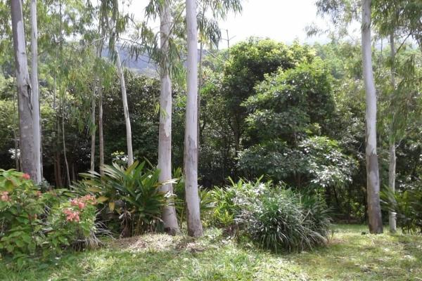 Amazing property for sale with private waterfalls