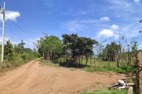 Investor opportunity: high-growth area in veraguas