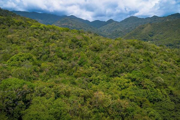 18.4 hectare land close to el cope, cocle