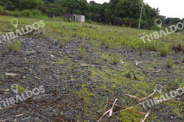 Terreno en chilibre