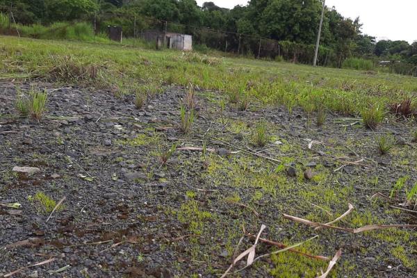 Terreno en chilibre