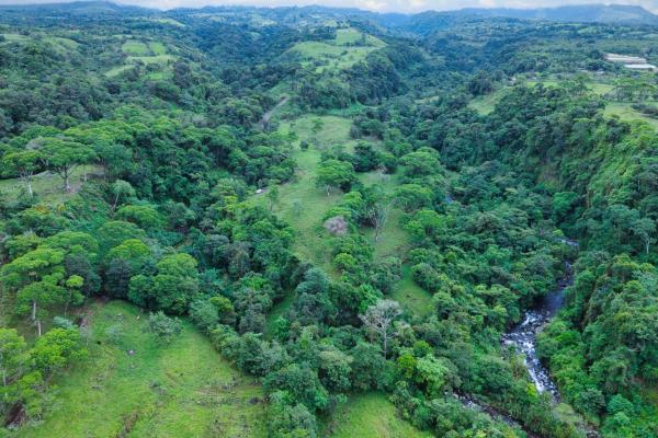 Naturaleza, espacio y potencial en un solo lugar