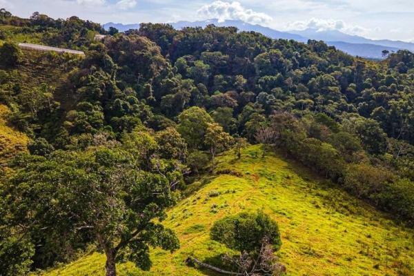 Finca cafetalera en venta en potrerillos arriba