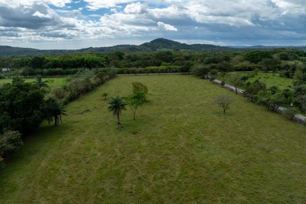 Prime flat land for sale in cochea abajo, david