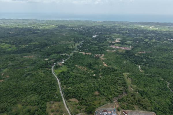 Land for sale 9.9 hectares in san carlos