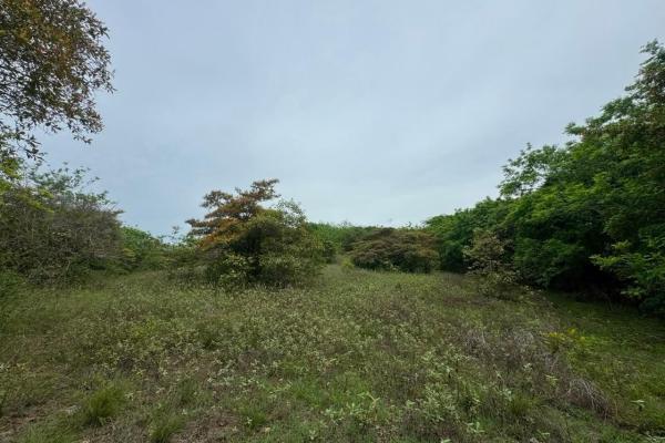 Venta de terreno de 9.9 hectáreas cerca de playas en el higo, san carlos
