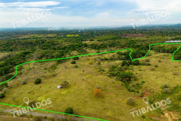 Land for sale in david, chiriquí