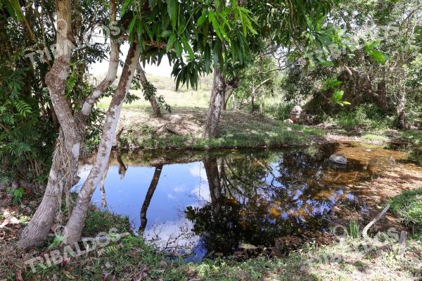 Venta de granja con mejoras en san carlos
