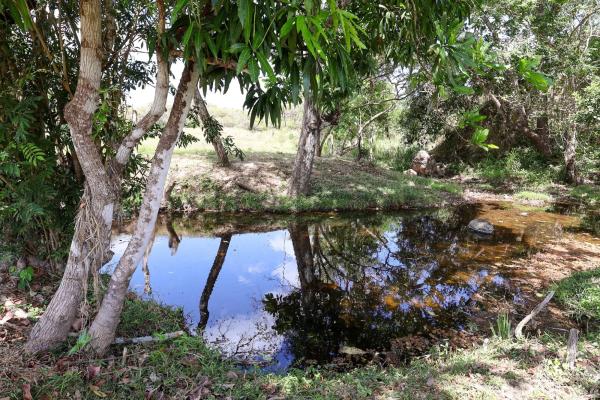 Venta de granja con mejoras en san carlos