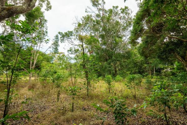 Terreno panorámico en boquete, panamá