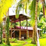 3 hectáreas frente al mar caribe en miramar