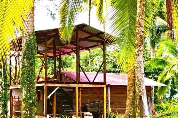 3 hectáreas frente al mar caribe en miramar