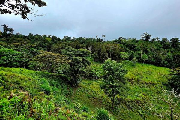 96.10 hectare in boquerón, las monjas