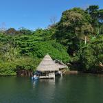 10 hectares of titled waterfront in tierra oscura