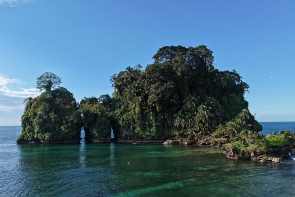 Vista de ensueño del mar y la jungla de drago