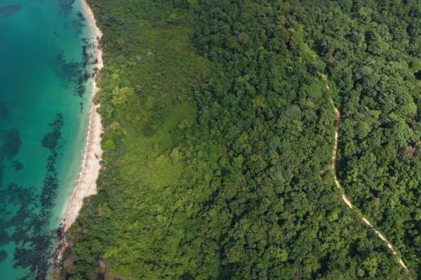 Vista de ensueño del mar y la jungla de drago