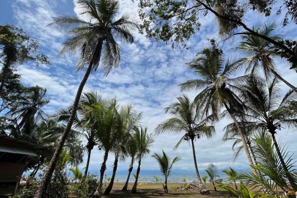 Beachfront off-grid home for sale