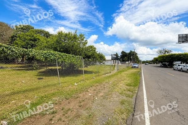 Commercial land for sale in chiriquí