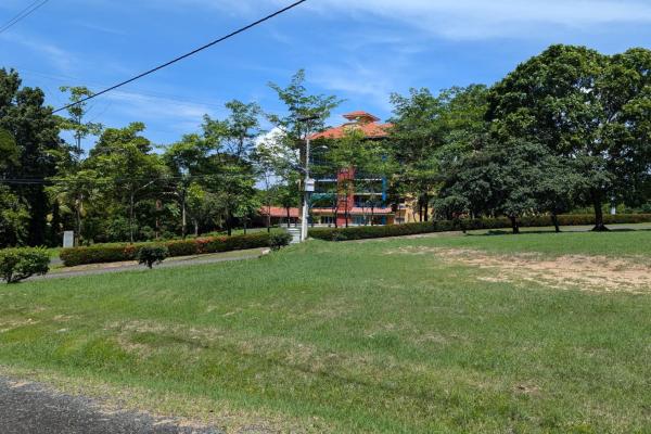 Venta de terreno plano en punta barco resort
