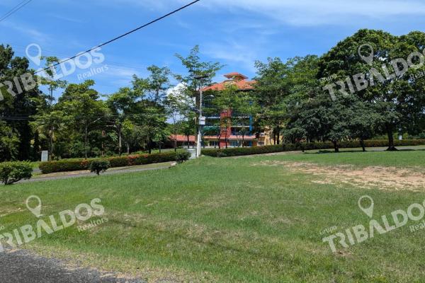 Flat land for sale in punta barco resort