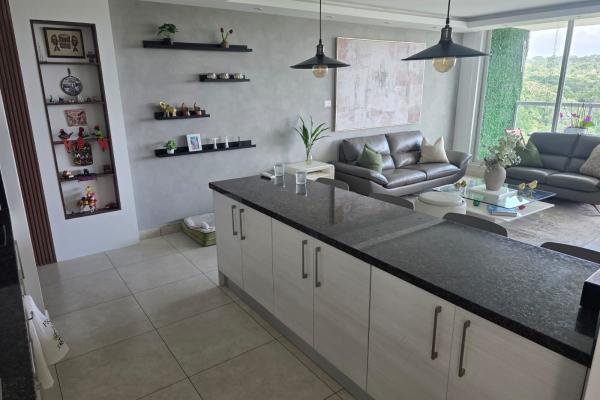 Alquilo apartamento en ph clayton park ii amoblado