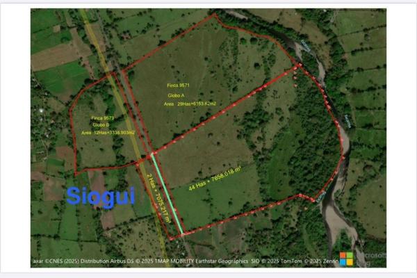 Flat farm for sale in siogui, bugaba, chiriqui