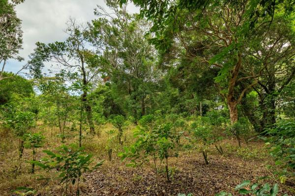 Terreno panorámico en boquete, panamá