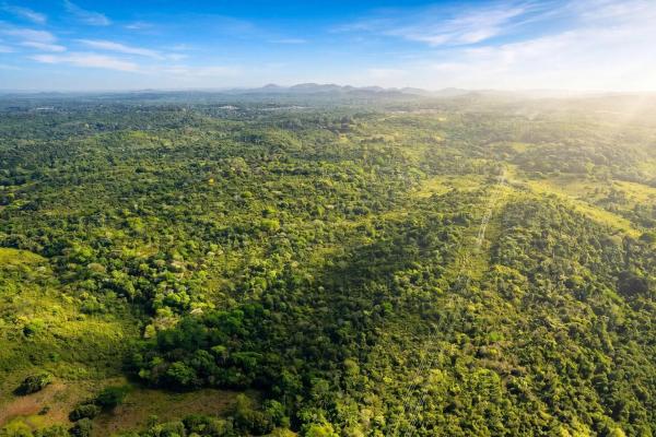 9.4h land parcel for sale in central arraijan