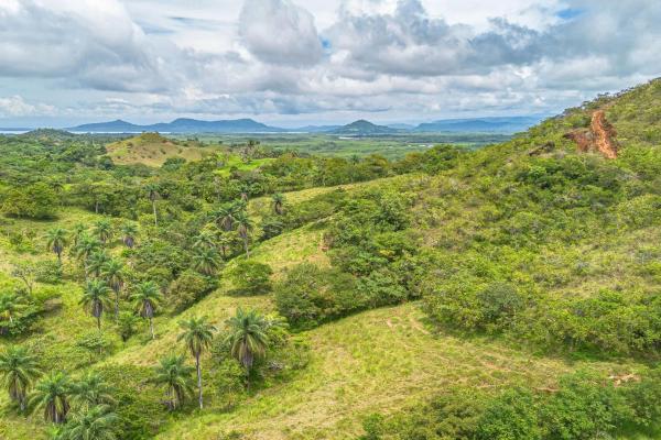 6-hectare hill property for sale in boca chica