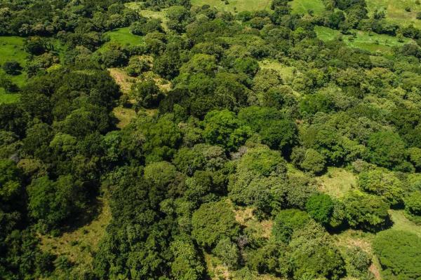 Expansive land for sale in las lomas, david