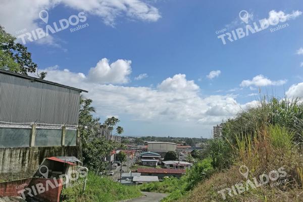 Terreno en rio abajo