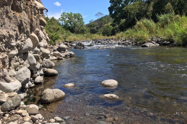 Expansive 146.652 ha property with water sources