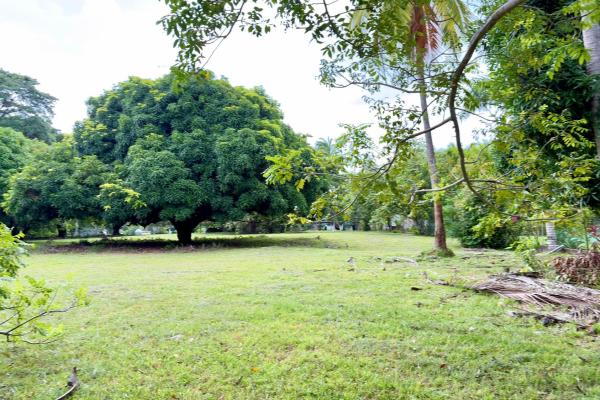 Venta de terreno en gorgona