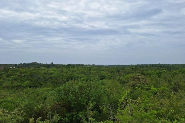 Finca en area de playa piedras gordas al mejor precio
