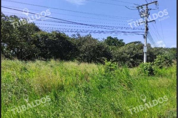 Land in front of panamericana in decameron