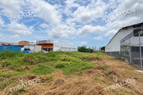 Land for sale on josé agustín arango avenue