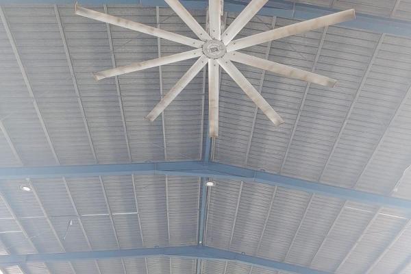 Large warehouse in llano bonito